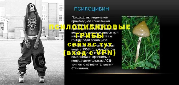 спиды Алексеевка