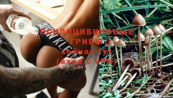 прущий лед Абдулино
